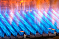 Manorbier Newton gas fired boilers